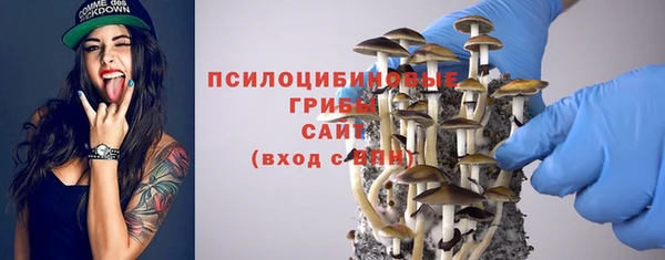 ECSTASY Богданович