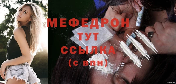 ECSTASY Богданович