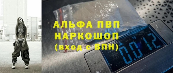 ECSTASY Богданович