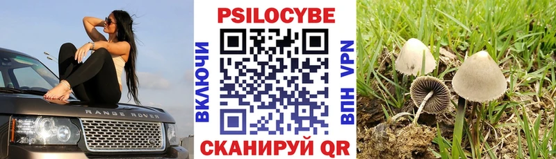 Галлюциногенные грибы Cubensis  Оха 